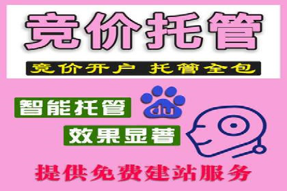 百度SEM推广成功案例，揭秘电商行业的增长秘诀